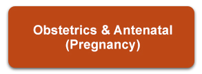 Obstetrics and Antenatal (Pregnancy)